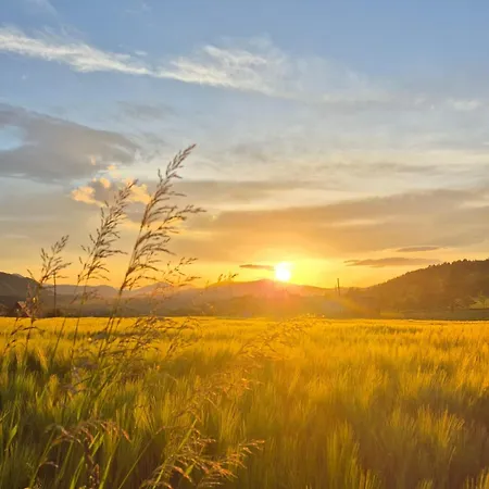 Sunflower House Radoinja