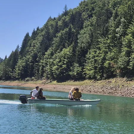 Holiday home Sunflower House Radoinja *