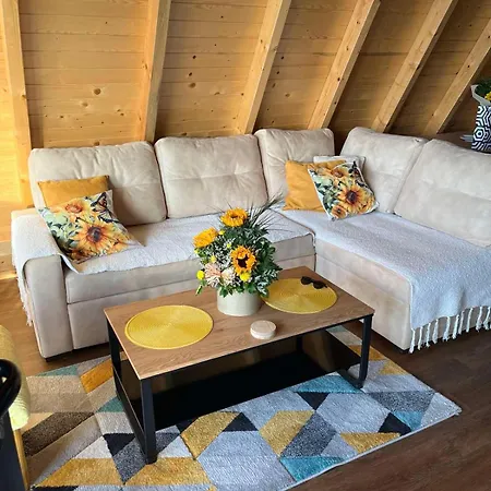 Sunflower House Radoinja Holiday home *