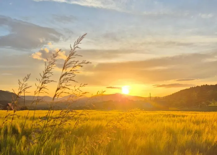 Sunflower House Radoinja